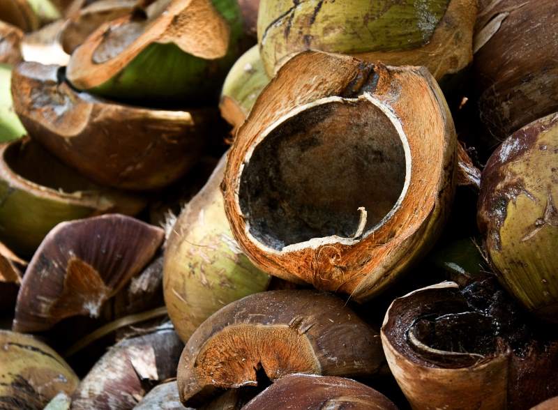 kokosnuss-schalen