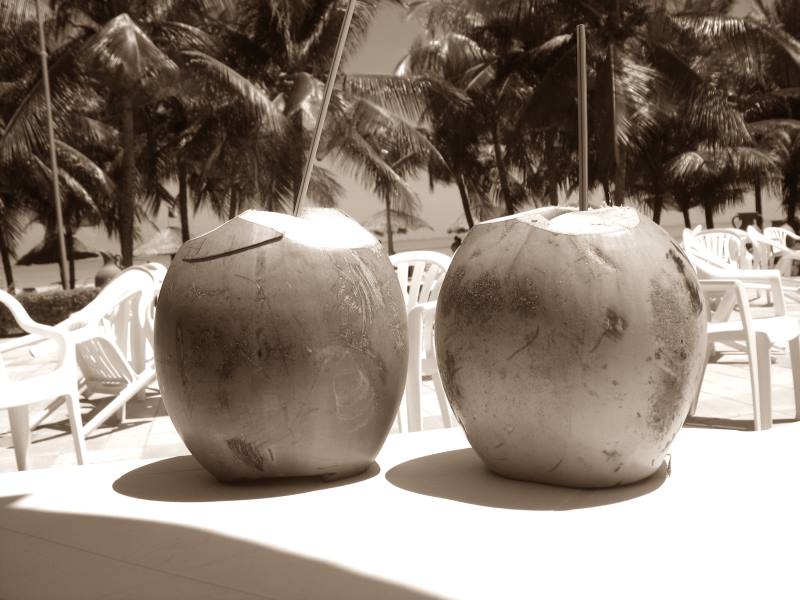 trink-kokosnuss