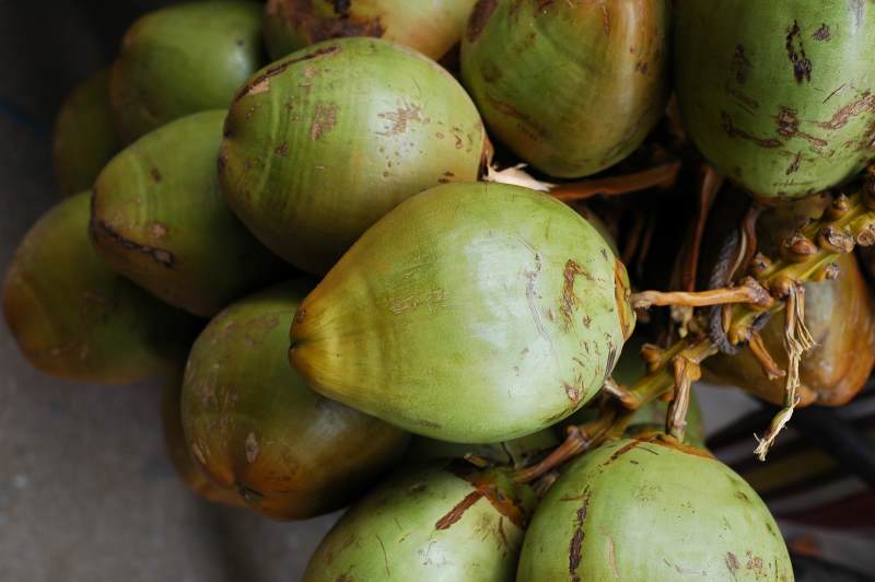 Kokosnussprodukte unterstützen Clean Eating-Trend